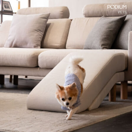 ทางลาดสำหรับสัตว์เลี้ยง PODIUM PETS รุ่น RAMS RAMP สีเทา_7